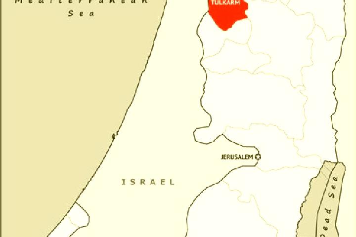 Ellie, 21 — Escort in Tulkarm, Palestine