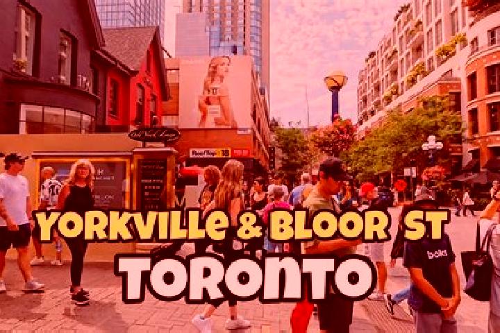 Ellie, 21 — Escort in Yorkville, Canada