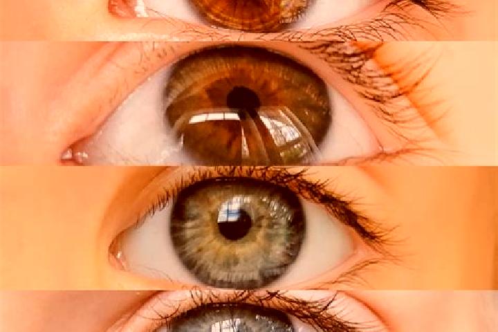 Ellie, 22, a chestnut hazel-eyed mixed companion based in Ponchiera. Offering CIM, Duos, OWO, Erotic Massage. Available for incall and outcall, day and eveni...
