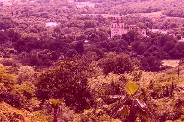 Ellie, 22 — Escort in Higueras de Abuya, Mexico