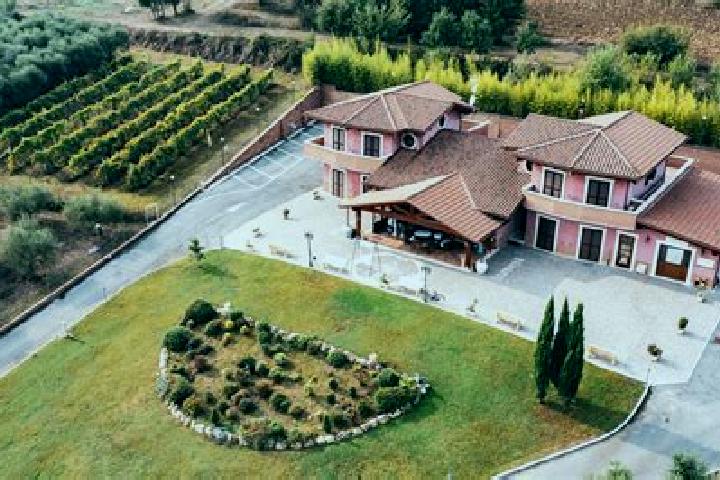 Ellie, 22 — Escort in Oltre Il Colle, Italy
