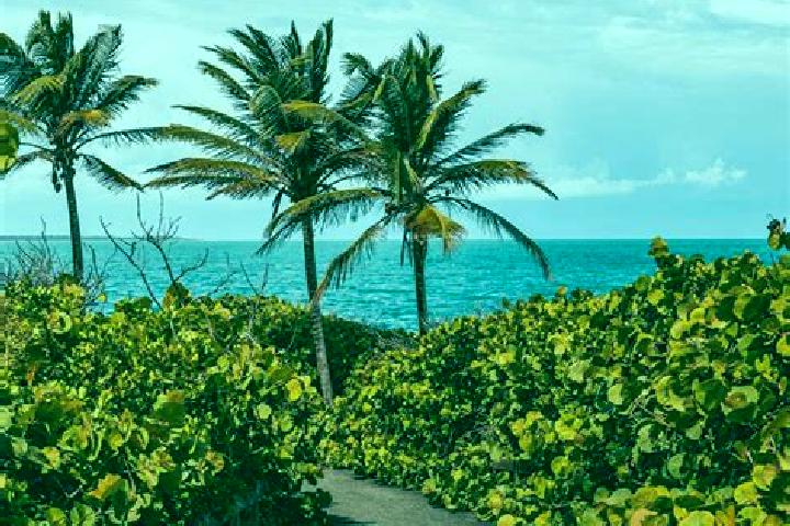 Ellie, 23 — Escort in Espino, Puerto Rico