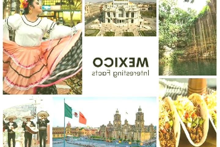 Ellie, 23 — Escort in Tirio, Mexico
