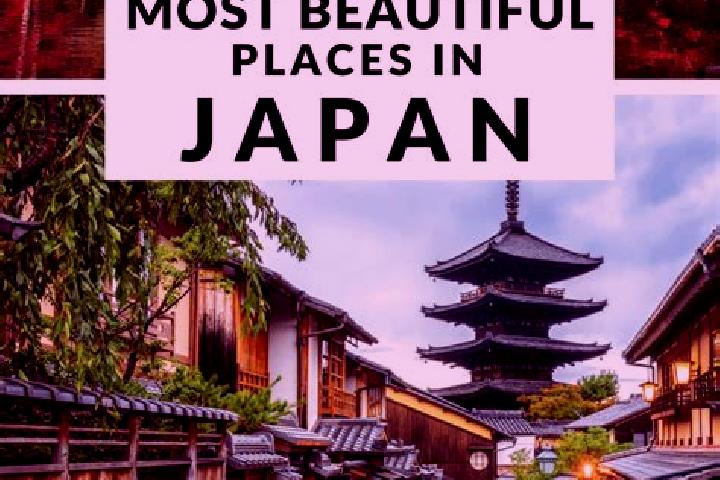 Ellie, 24 — Escort in Inokashira, Japan