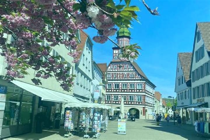 Ellie, 24 — Escort in Kirchheim, Germany
