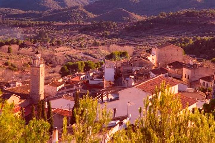 Ellie, 24 — Escort in La Torre de les Macanes, Spain