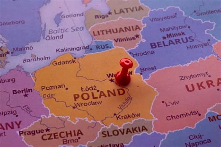 Ellie, 24 — Escort in Zalesie, Poland