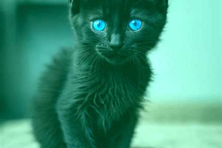 Ellie, 25, a black blue-eyed caribbean companion based in Pantelleria. Offering Roleplay, Overnight, 69. Available for incall and outcall, day and evening da...