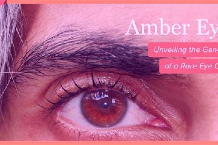 Ellie, 25, a red amber-eyed indian companion based in Allansford. Offering Erotic Massage, Prostate Massage. Available for incall and outcall, day and evenin...
