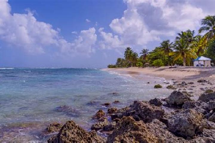 Ellie, 25 — Escort in Anse-Bertrand, Guadeloupe