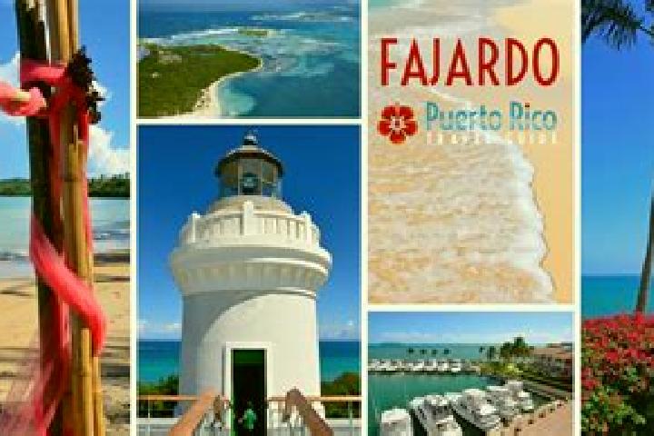 Ellie, 25 — Escort in Fajardo, Puerto Rico