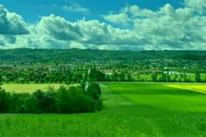Ellie, 25 — Escort in Graefenhainichen, Germany