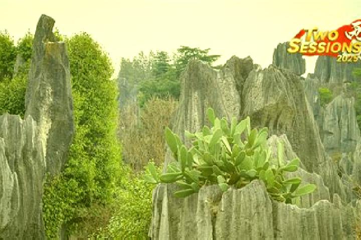Ellie, 25 — Escort in Sanqu, China