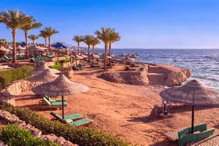 Ellie, 25 — Escort in Sharm el-Sheikh, Egypt