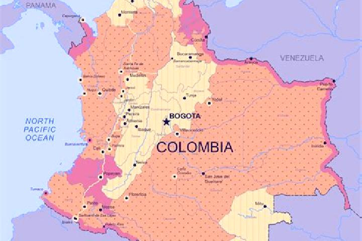 Ellie, 25 — Escort in Tres Esquinas, Colombia