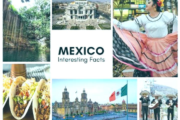 Ellie, 26 — Escort in El Verde, Mexico