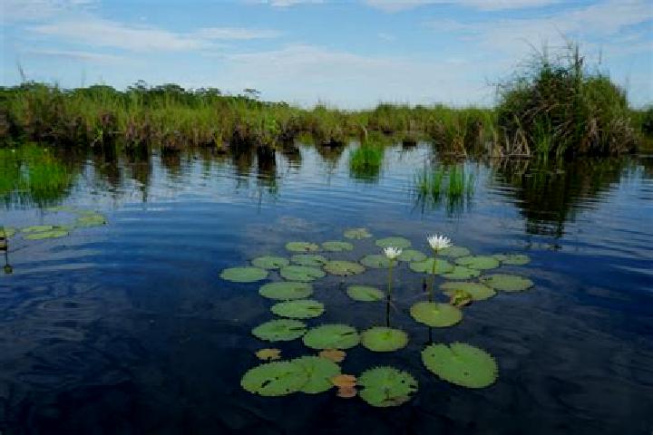 Ellie, 27 — Escort in Pantanal, Mexico