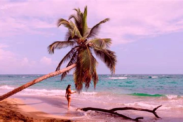Ellie, 27 — Escort in Puerto Cortes, Costa Rica