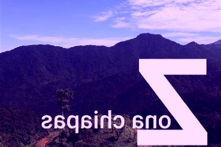 Ellie, 27 — Escort in San Antonio Chicharras, Mexico