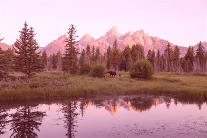 Ellie, 27 — Escort in Teton, United States