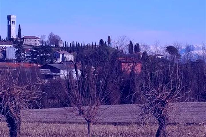 Ellie, 28 — Escort in Fagagna, Italy