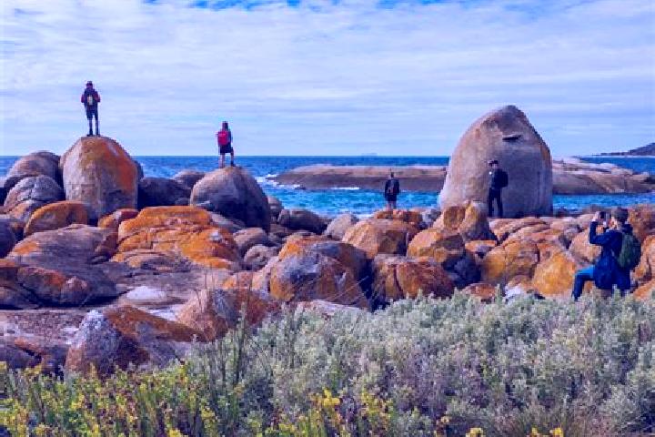 Ellie, 28 — Escort in Flinders, Australia