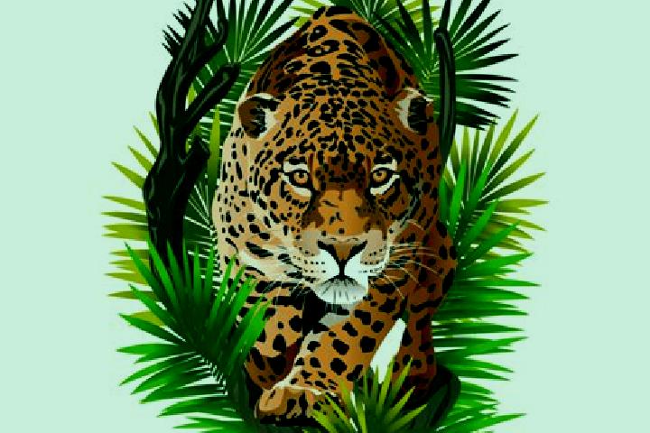 Ellie, 28 — Escort in Onca, Brazil