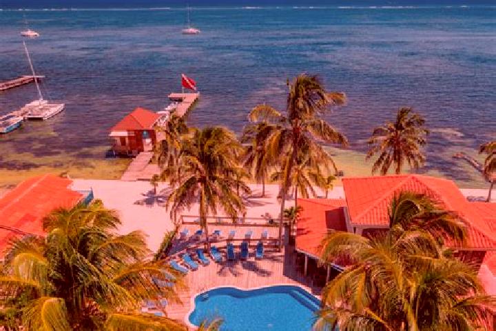 Ellie, 28 — Escort in San Pablo, Belize