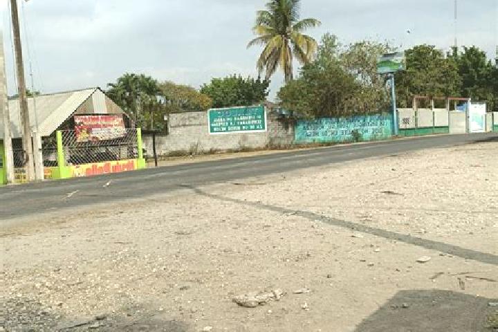 Ellie, 28 — Escort in Vicente Camalote, Mexico