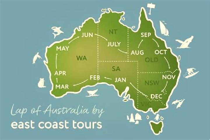 Ellie, 28 — Escort in Yamanto, Australia