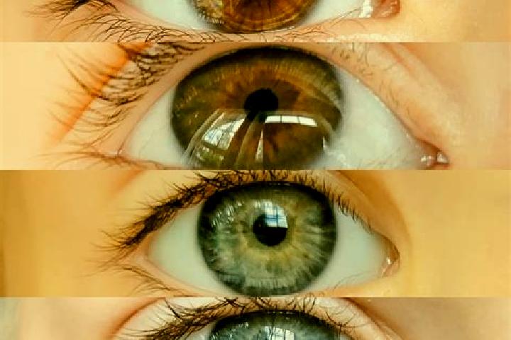 Ellie, 29, a chestnut grey-eyed middle eastern companion based in Kemuningsari. Offering CIM, Tantra, Travel Companion, Deep French Kissing. Available for in...