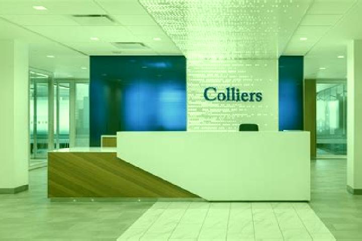 Ellie, 29 — Escort in Colliers, Canada