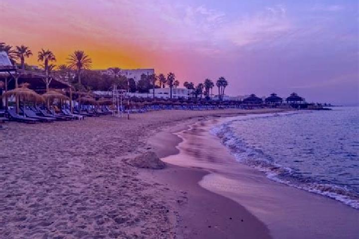 Ellie, 29 — Escort in El Bahira, Tunisia