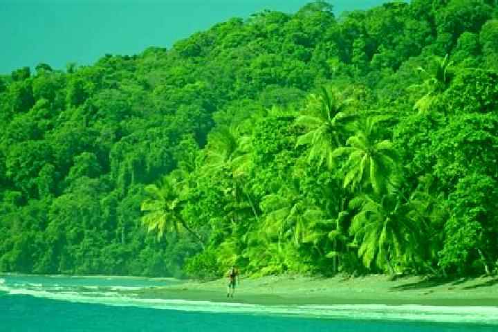 Ellie, 29 — Escort in El Corcovado, Mexico