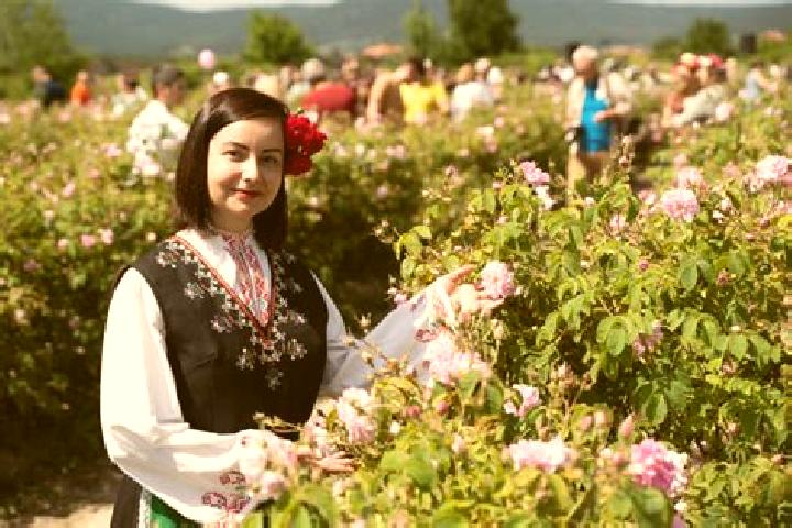 Ellie, 29 — Escort in Kazanlak, Bulgaria