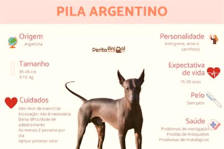 Ellie, 29 — Escort in Pila, Argentina