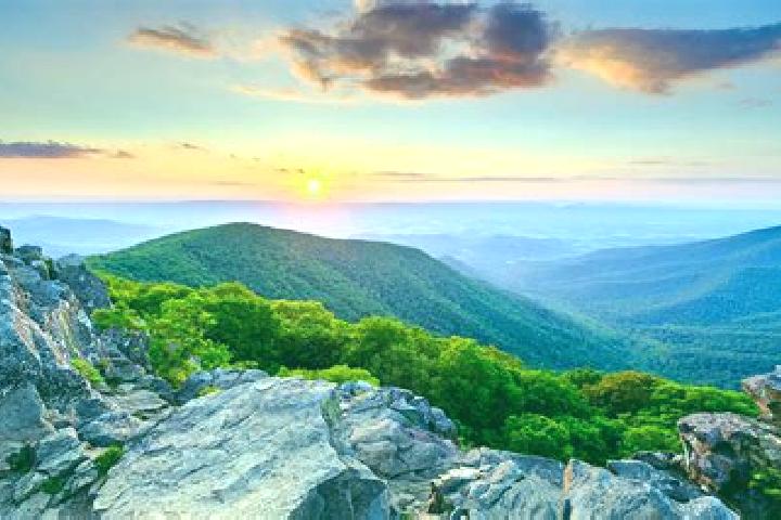 Ellie, 29 — Escort in Pilot Mountain, United States