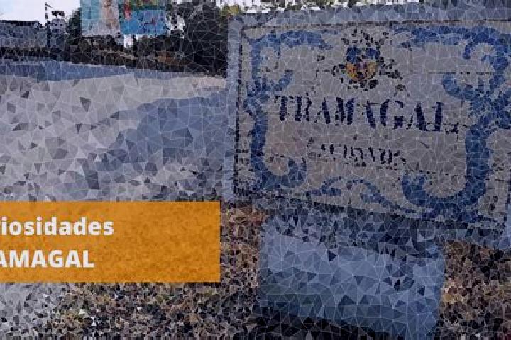 Ellie, 29 — Escort in Tramagal, Portugal