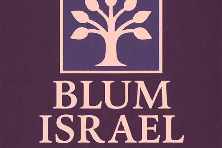 Ellie, 30 — Escort in Kfar Blum, Israel