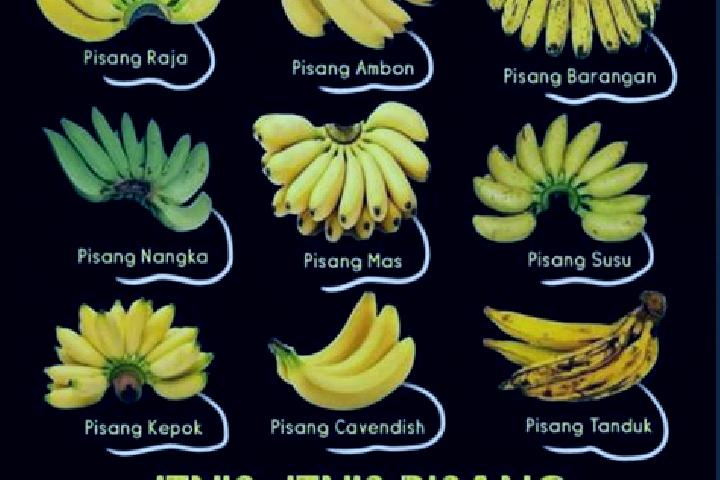 Ellie, 30 — Escort in Pisang, Indonesia