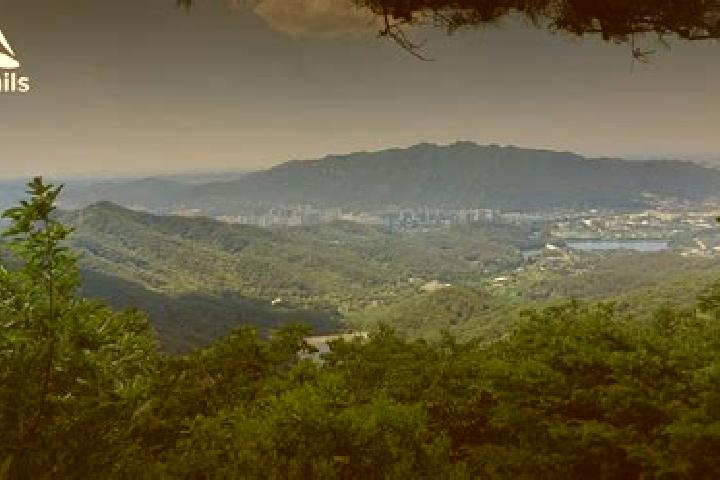 Ellie, 30 — Escort in Uiwang, South Korea