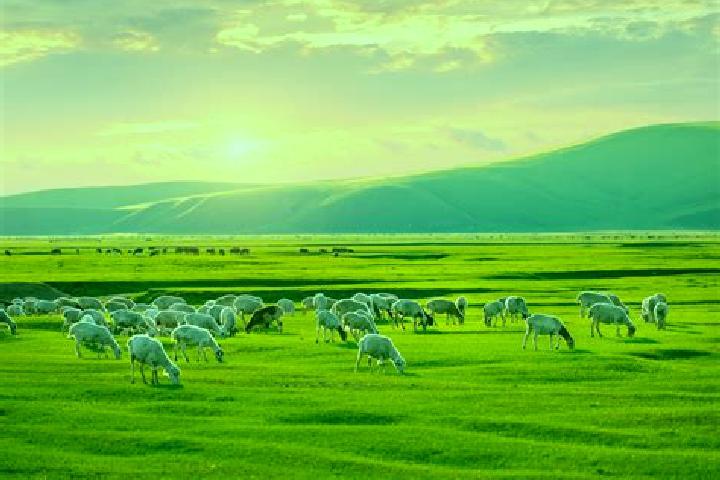 Ellie, 31 — Escort in Avdzaga, Mongolia