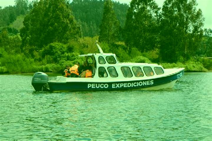 Ellie, 31 — Escort in Carahue, Chile