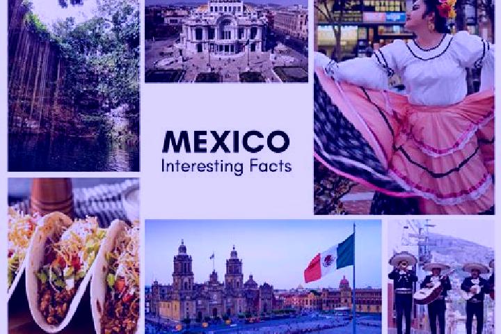 Ellie, 31 — Escort in Jalpilla, Mexico