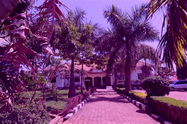 Ellie, 31 — Escort in Katabi, Uganda