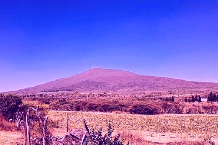 Ellie, 31 — Escort in Purisima de Cerro Grande, Mexico