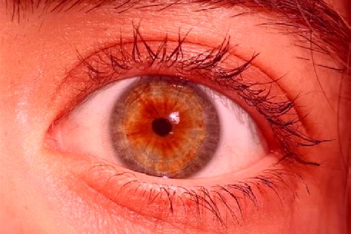 Ellie, 32, a red hazel-eyed mediterranean companion based in Jugur. Offering Roleplay, Duos, Fetish. Available for incall and outcall, day and evening dates.