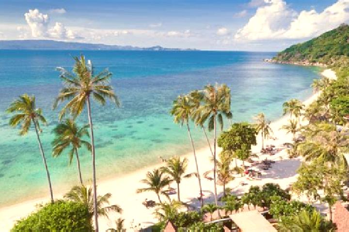 Ellie, 33, a blonde grey-eyed asian companion based in Ko Pha Ngan. Offering Massage, Couples, Overnight. Available for incall and outcall, overnight booking...
