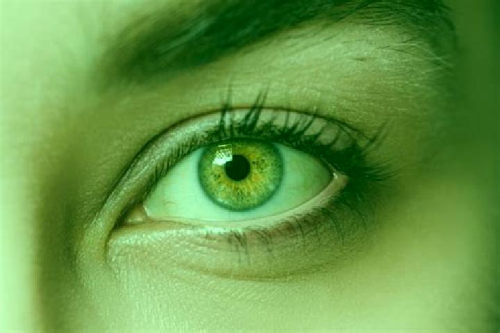 Ellie, 33, a chestnut hazel-eyed mixed companion based in Groguida. Offering Duos, A-Level, Prostate Massage, GFE. Available for incall and outcall, day and ...