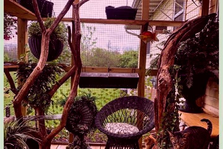 Ellie, 33 — Escort in Catio, Guinea-Bissau